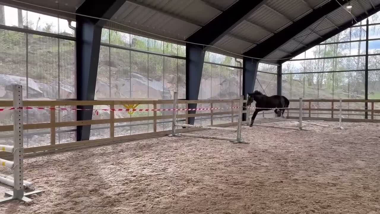 Hoppning hästar till salu: Storhoppande 4åring - Video 1