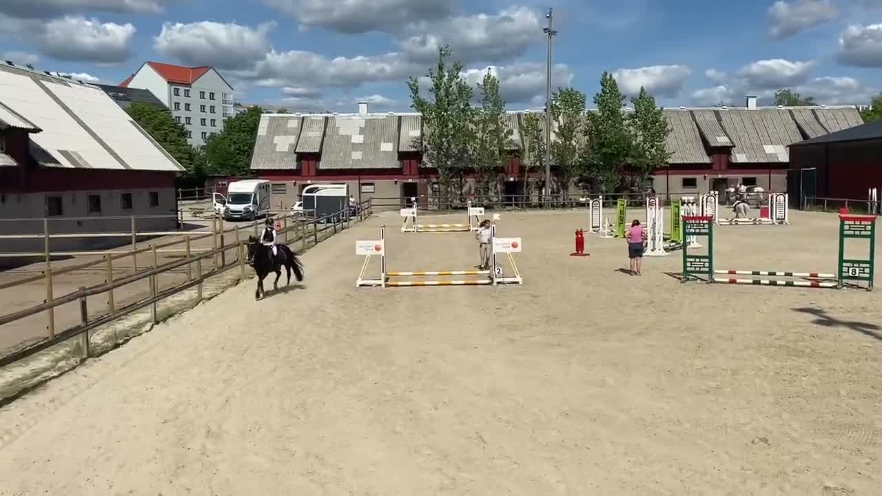 Allround hästar till salu: En dröm i svart kostym 🖤 - Video 3