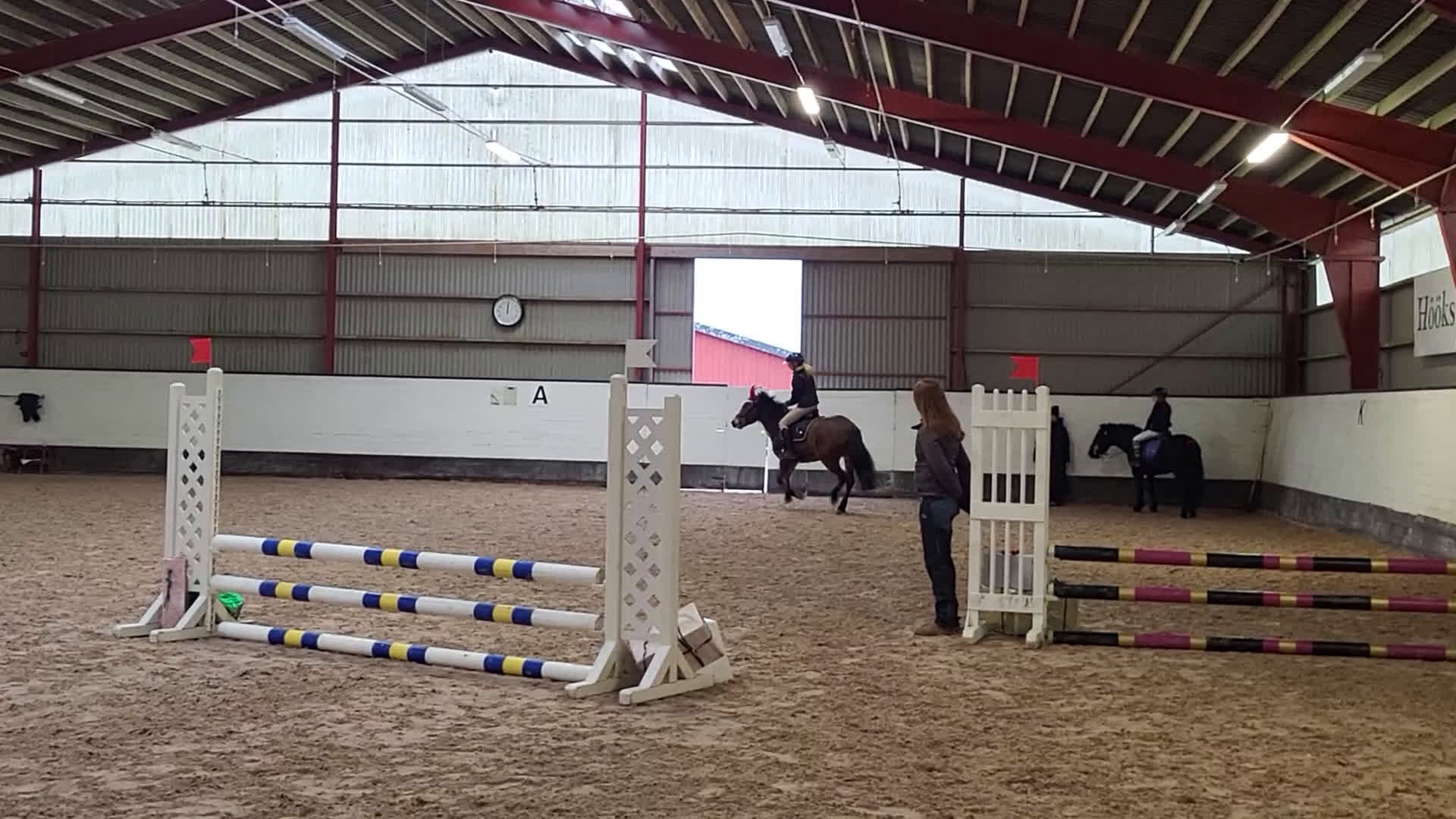 Hoppning hästar till salu: New Foreststo 6år - Video 1