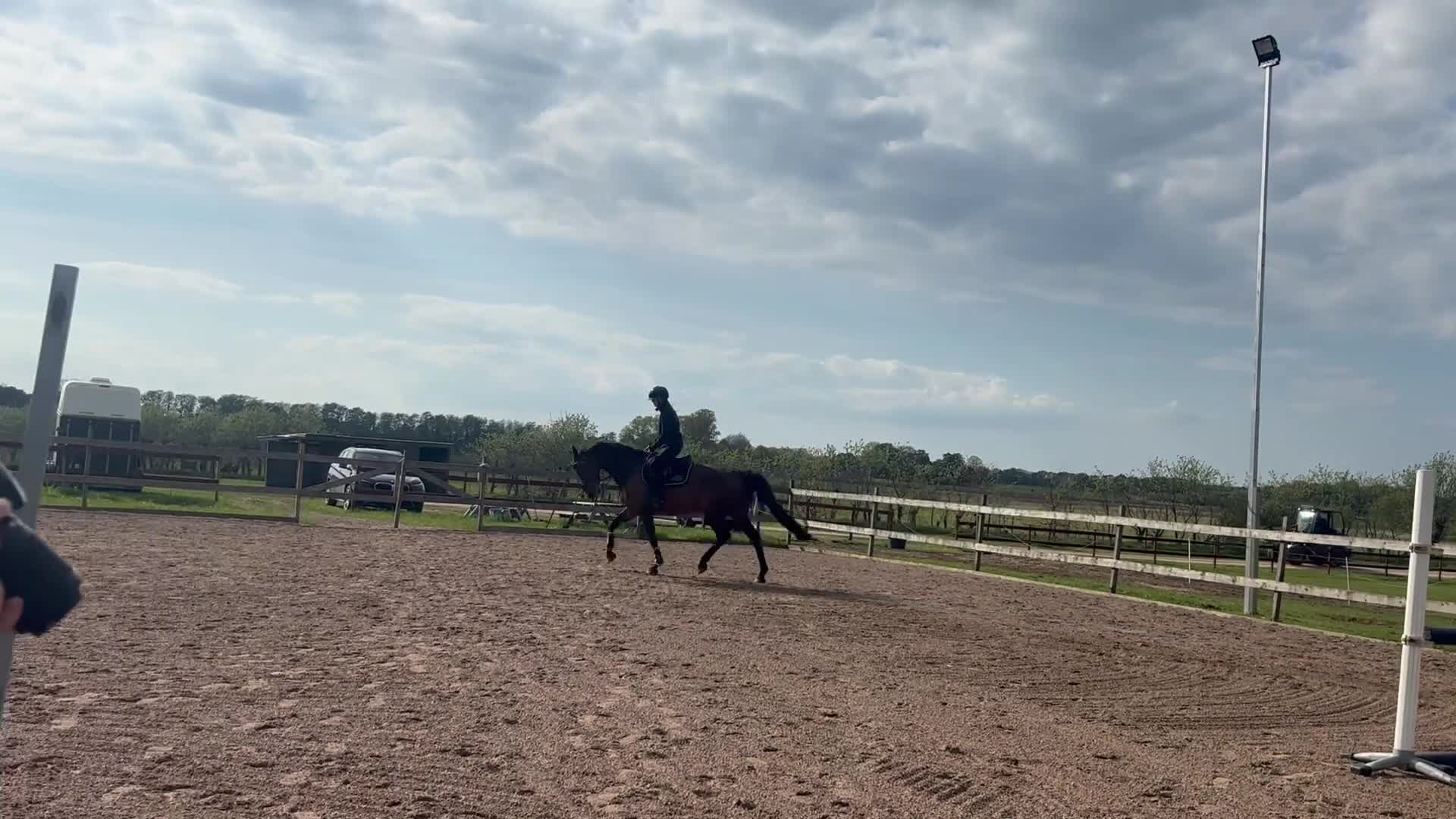 Allround hästar till salu: Hoppglatt Sto 13 år - Video 1