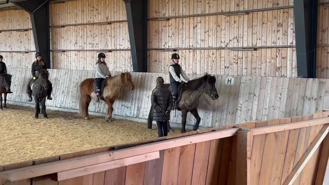  medryttarhäst sökes: Söker medryttarhäst nära Järfälla!! i Järfälla - Video 4