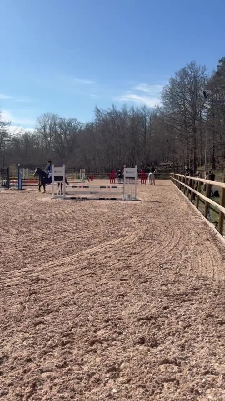 Allround hästar till salu: Din nya stjärna! 🌟  i Nybro - Video 1