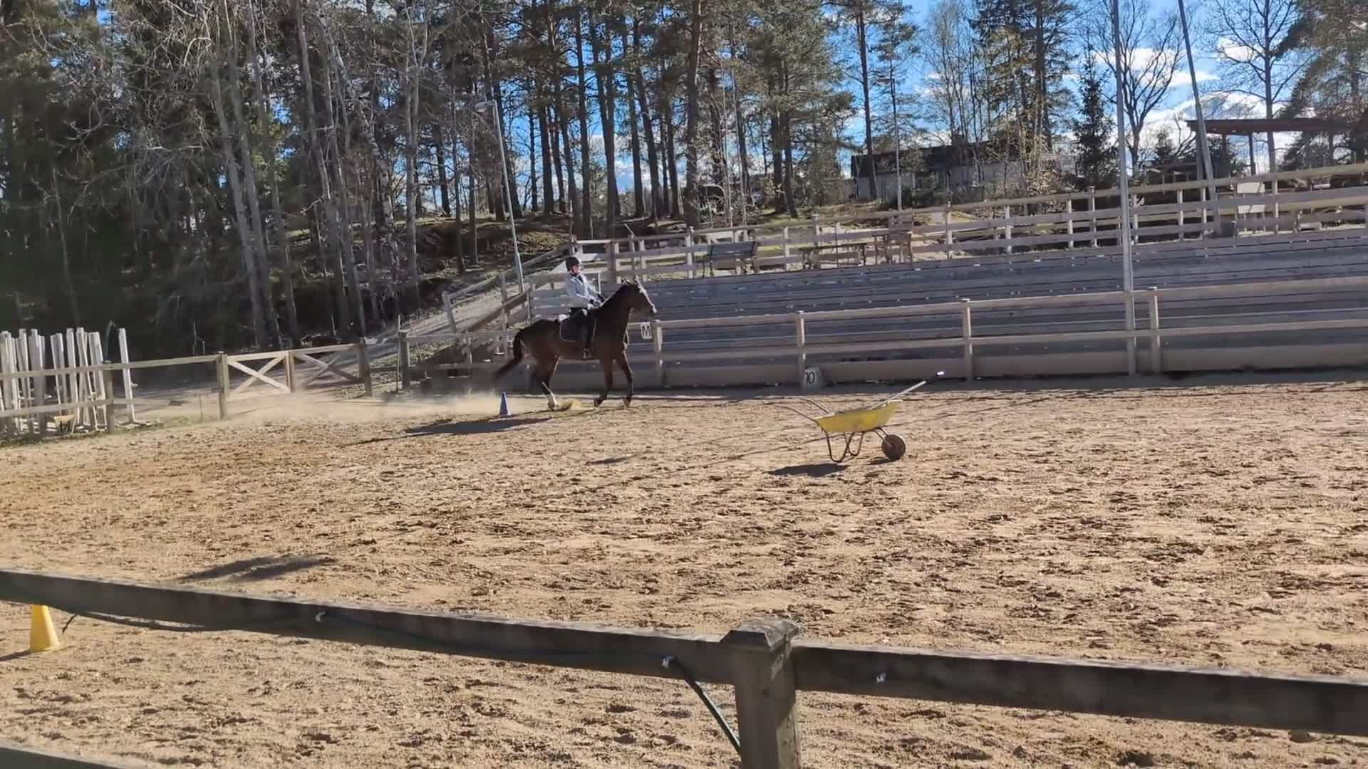  medryttarhäst sökes: Letar medryttare/skötare häst💕 i Vagnhärad - Video 2