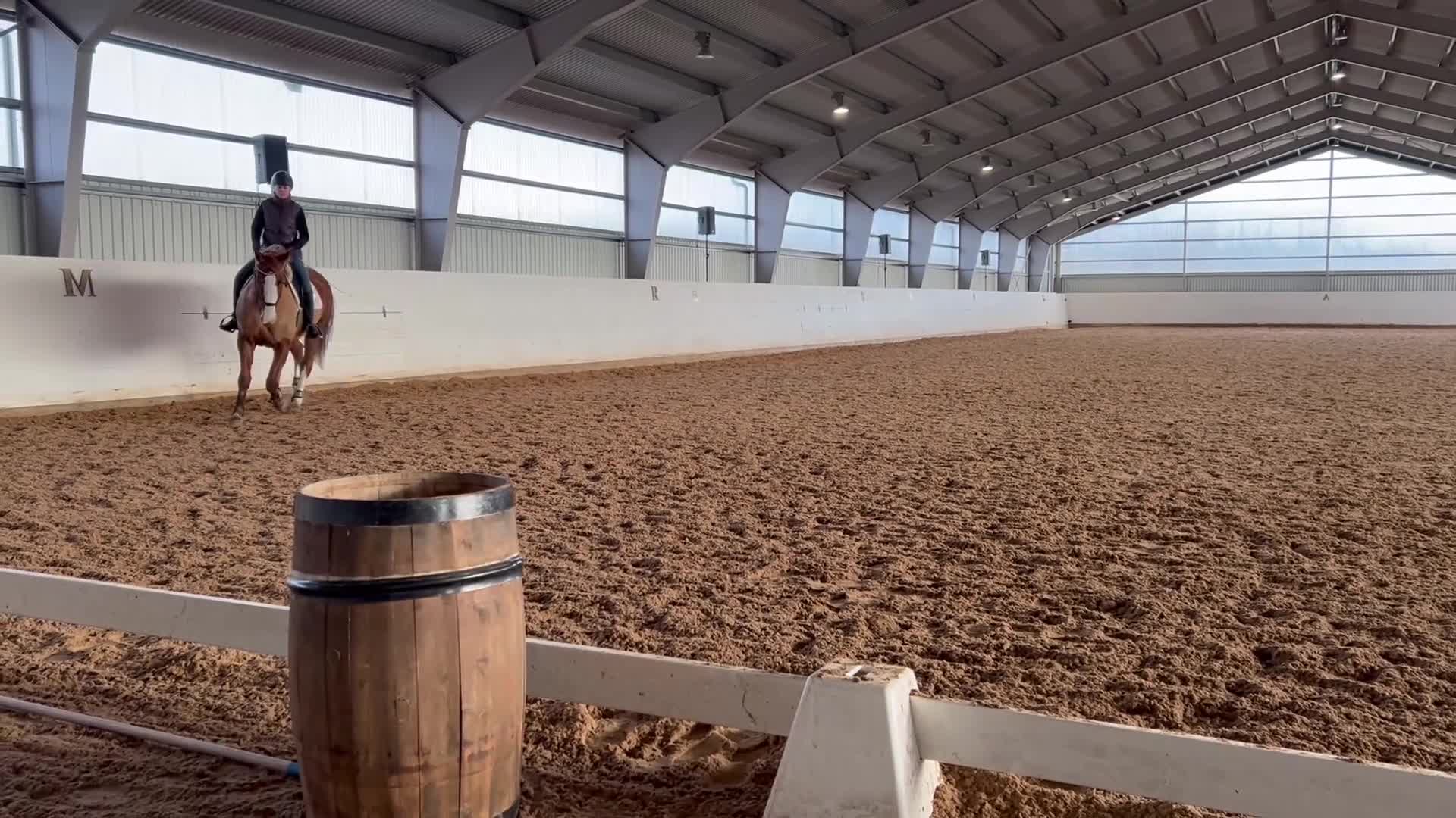Dressyr hästar till salu: Fuxsto med utstrålning - Video 1