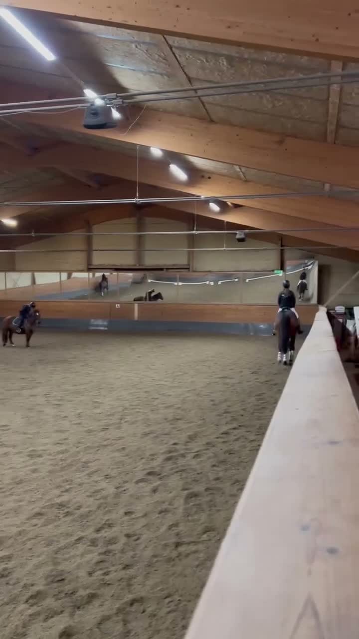 Fälttävlan hästar till salu: Läromästare som passar till allt! - Video 4