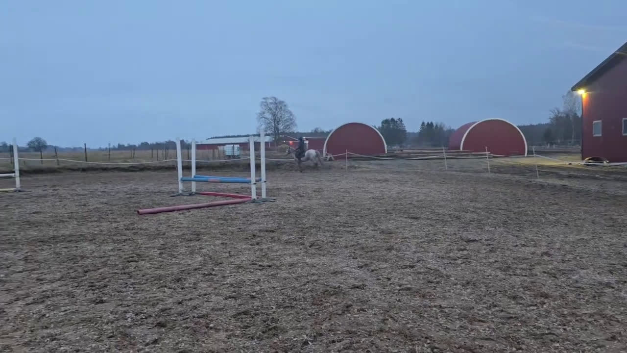 Allround hästar till salu: Trevlig ponny - Video 3