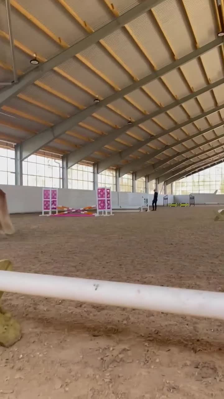 Island hästar till salu: Iða Vom Donnerhall  - Video 1