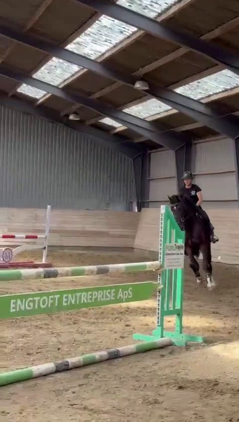 Allround hästar till salu: Take a chance on me!!!!  - Video 3