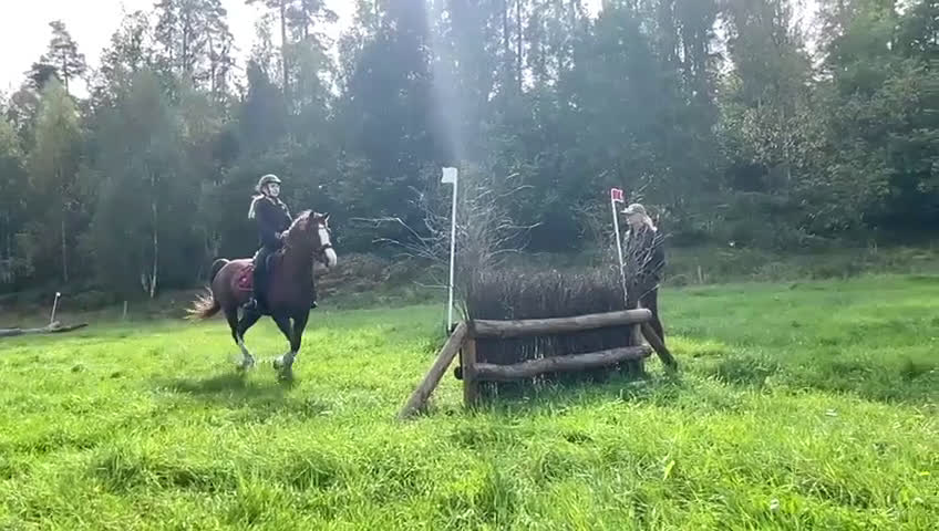 Allround hästar till salu:  Superhäftig och vacker C-ponny i Linköping - Video 5