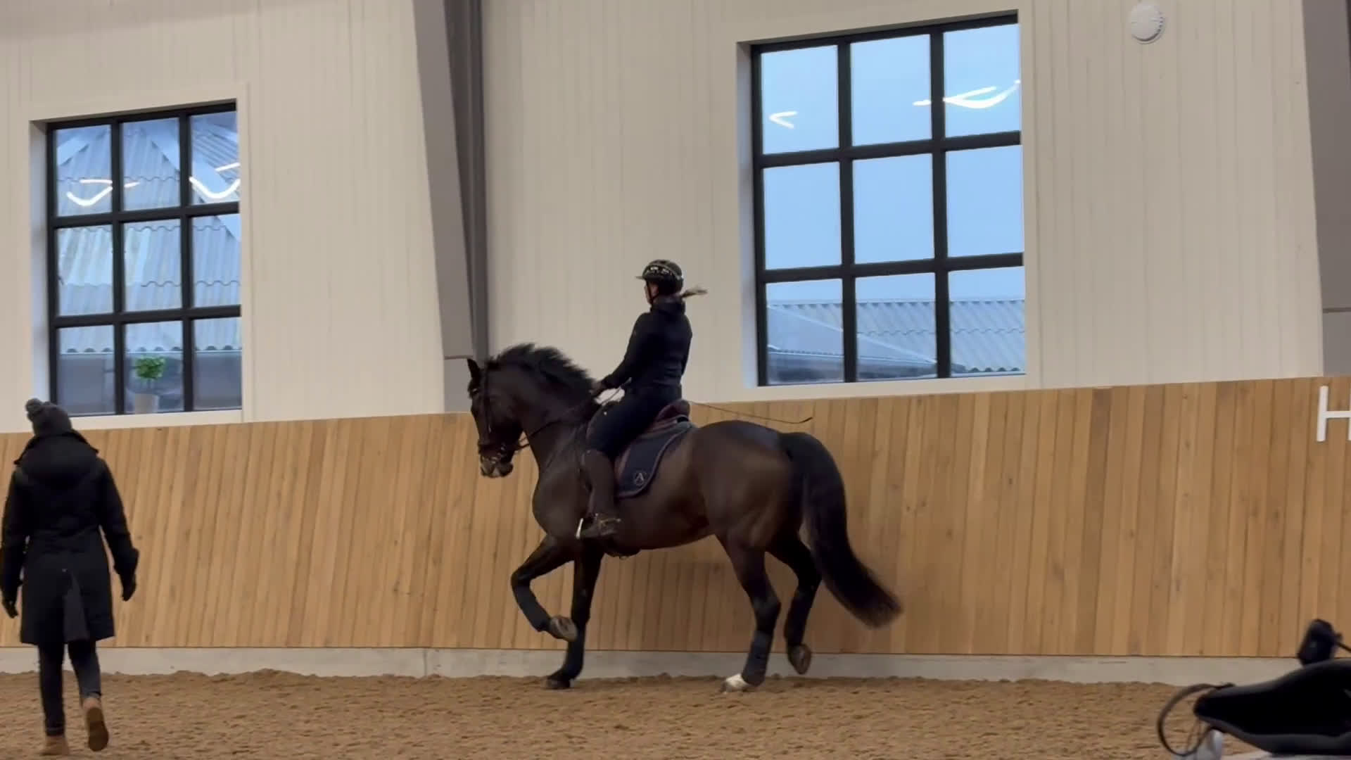 Dressyr hästar till salu: Välutbildad val - Video 1