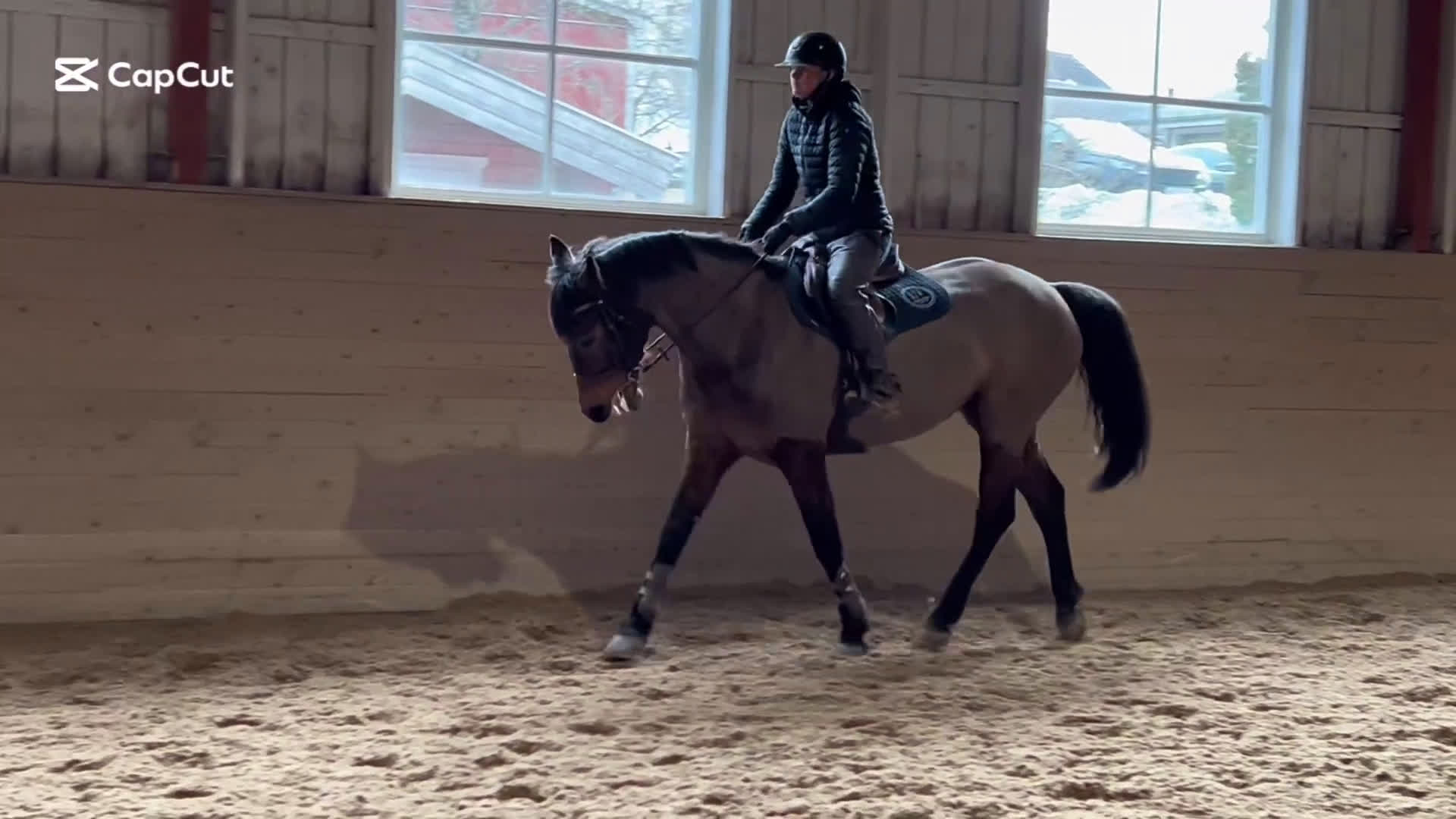 Allround hästar till salu: Sto med tryck  - Video 1