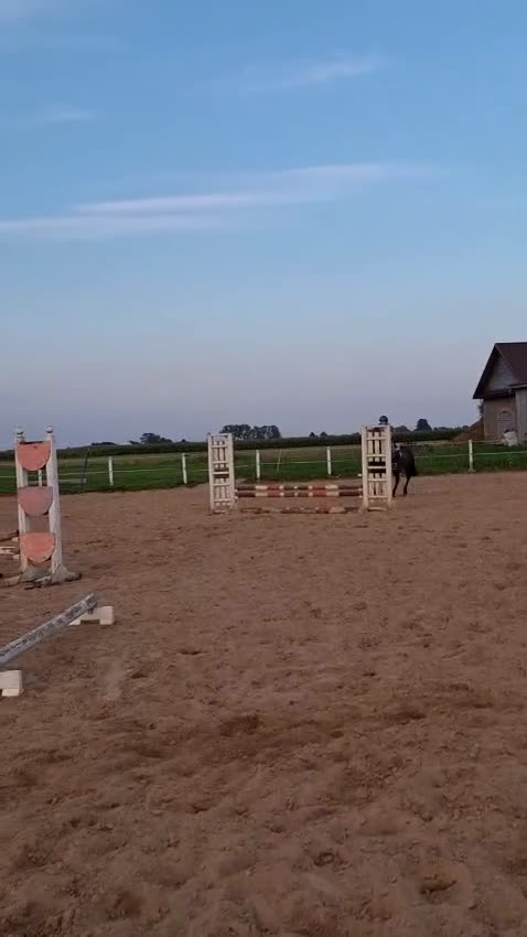 Hoppning hästar till salu: Trevlig C-ponny  - Video 2