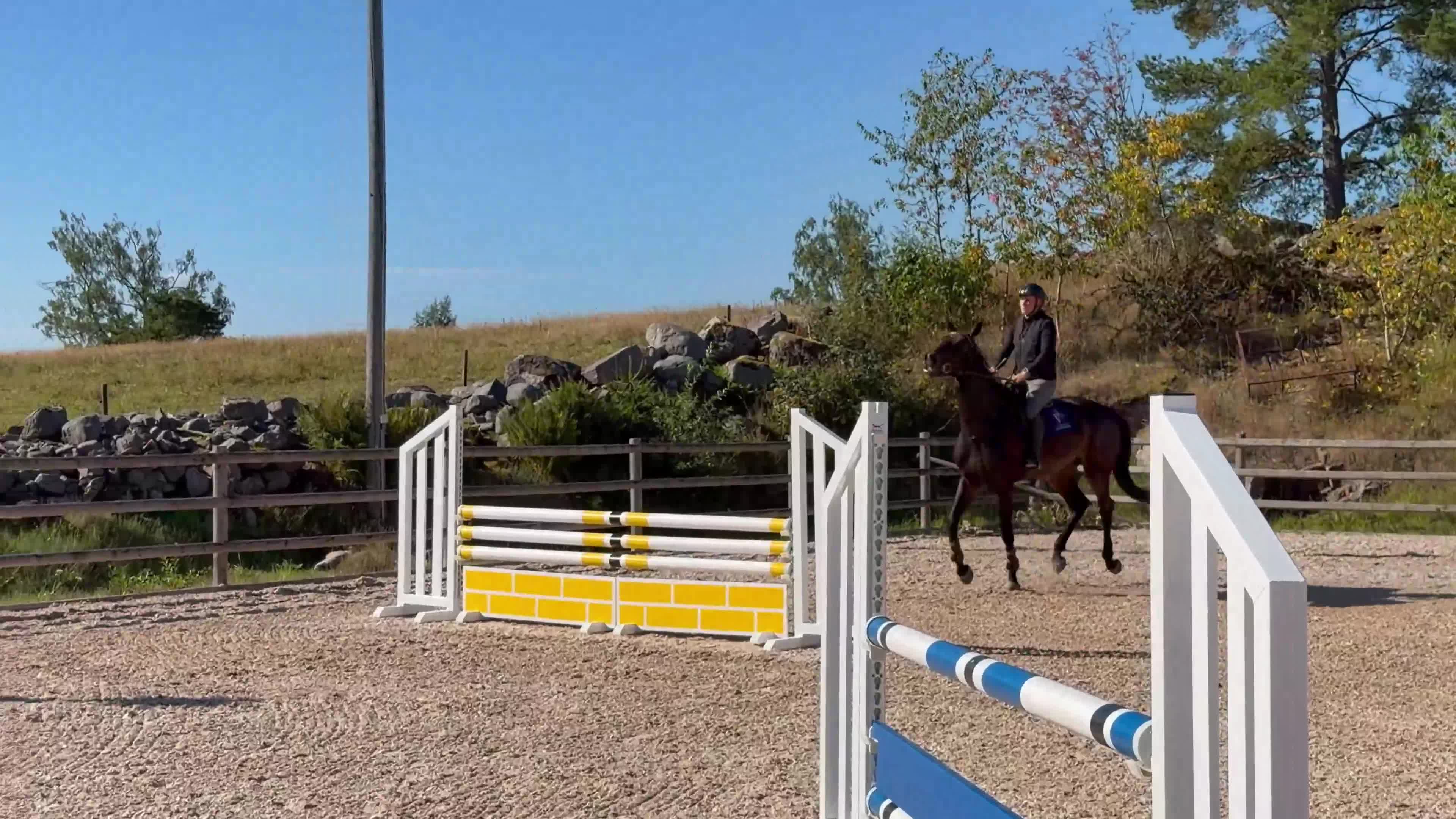 Hoppning hästar till salu: Lovande 5 åring - Video 1