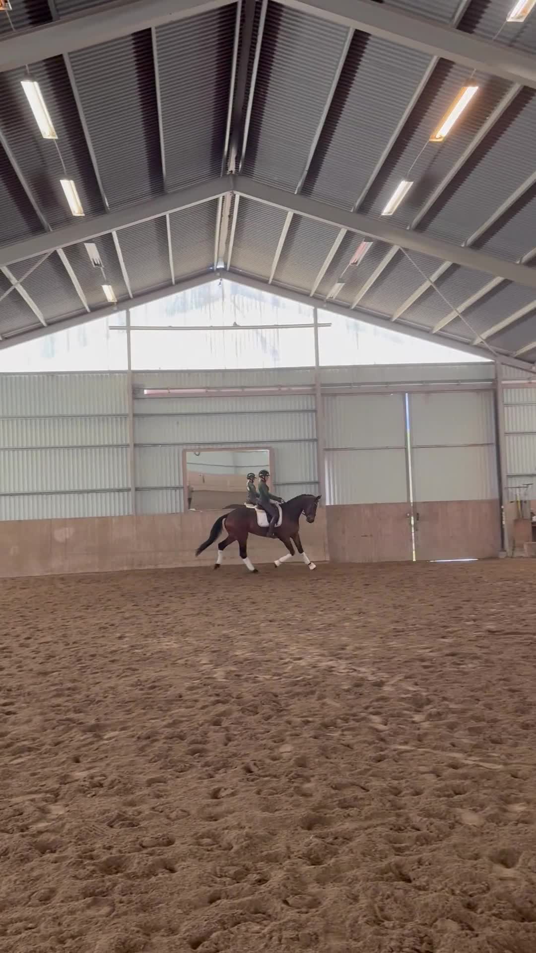 Dressyr hästar till salu: Dressyrhäst med kvalité! - Video 4
