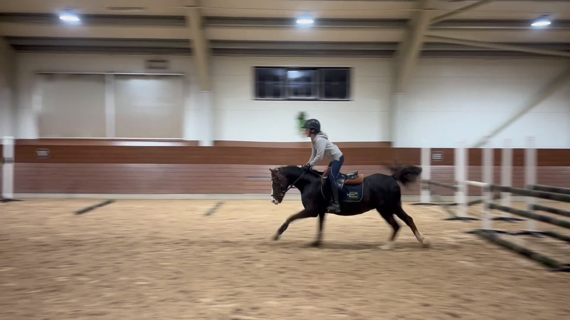 Allround hästar till salu: Fantastiskt fin läromästare B-ponny  i Luleå - Video 2