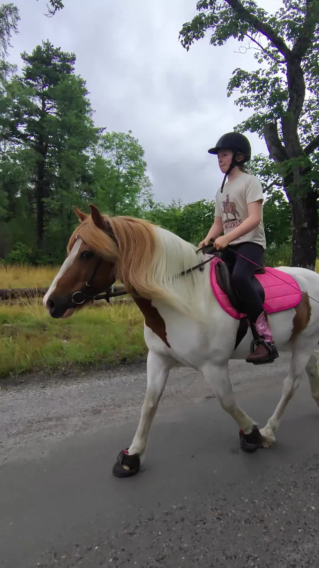  medryttarhäst finnes: Medryttare till grövre c-ponnyvalack 🐴 - Video 4