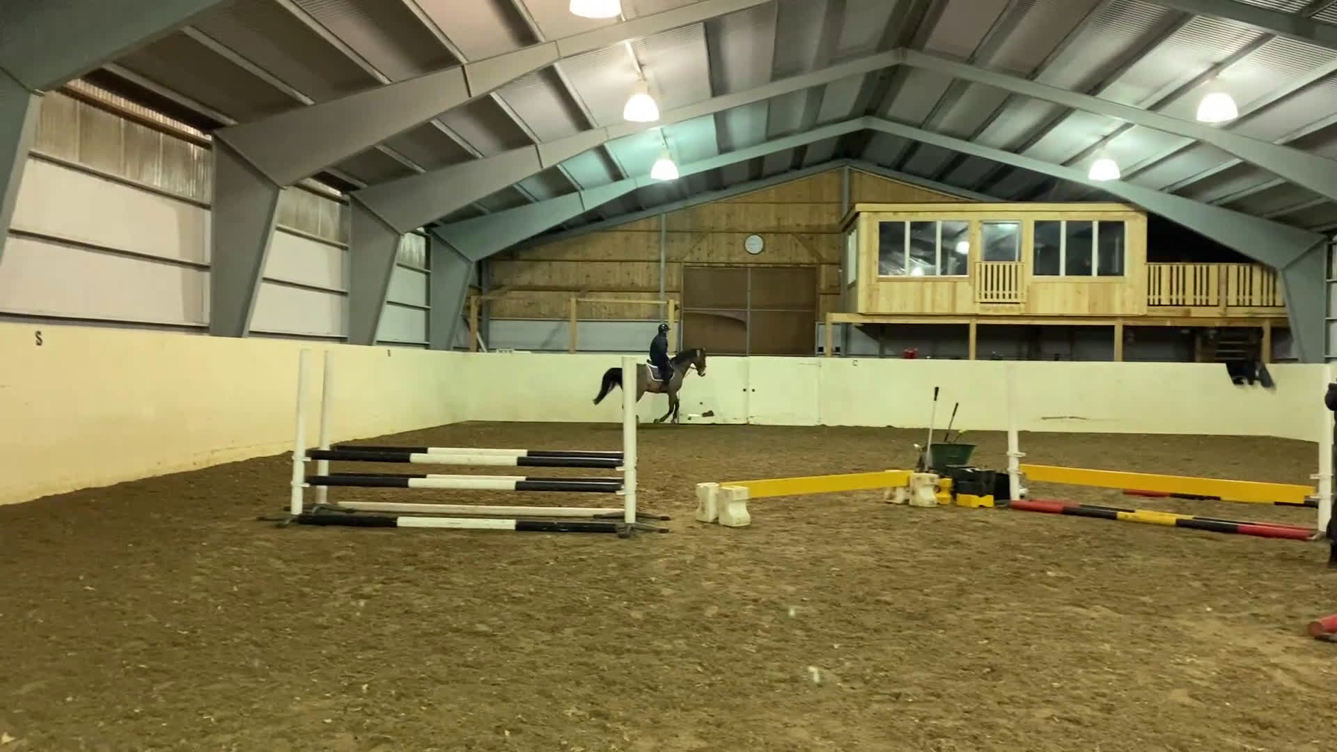 Hoppning hästar till salu: Mycket fin valack!  - Video 5