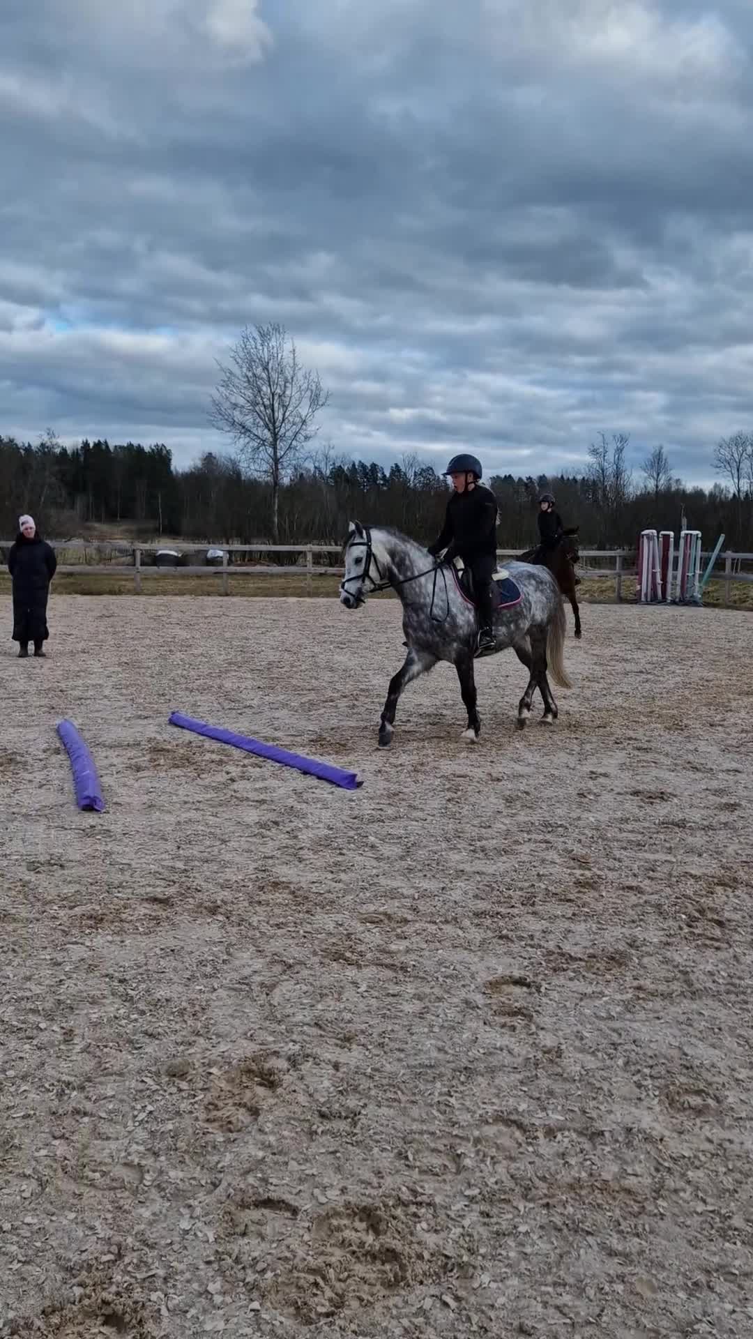 Allround hästar till salu: Underbar, C-ponny welsh valack  - Video 1
