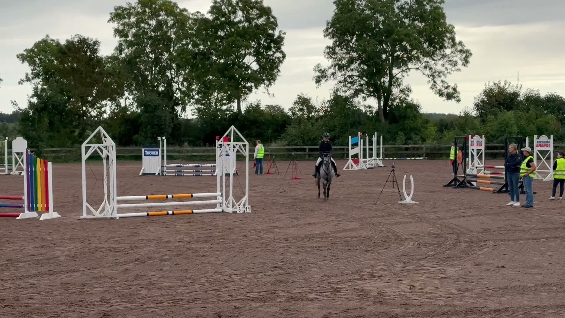Hoppning hästar till salu: Superfin maxad B-ponny!  - Video 3