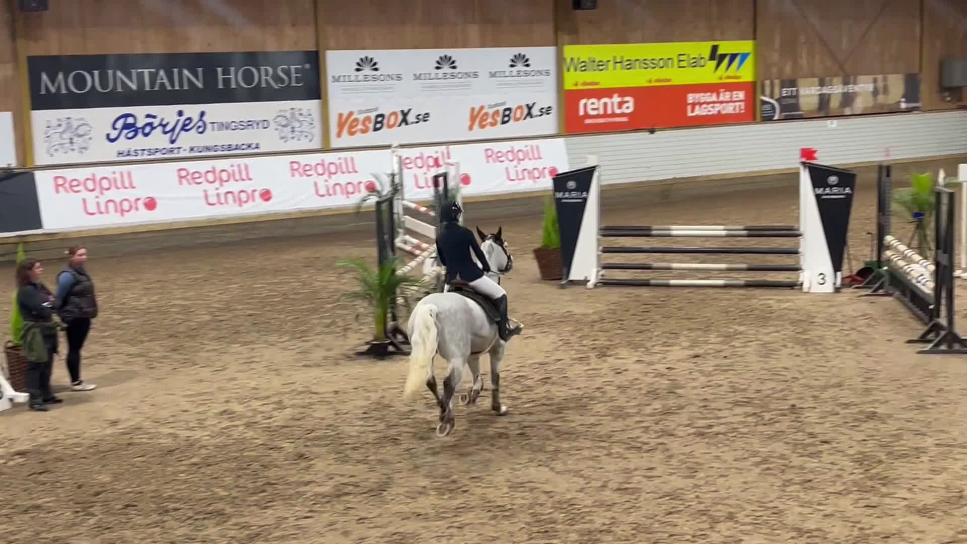 Allround hästar till salu: Topponny till salu! i Kungsbacka - Video 4