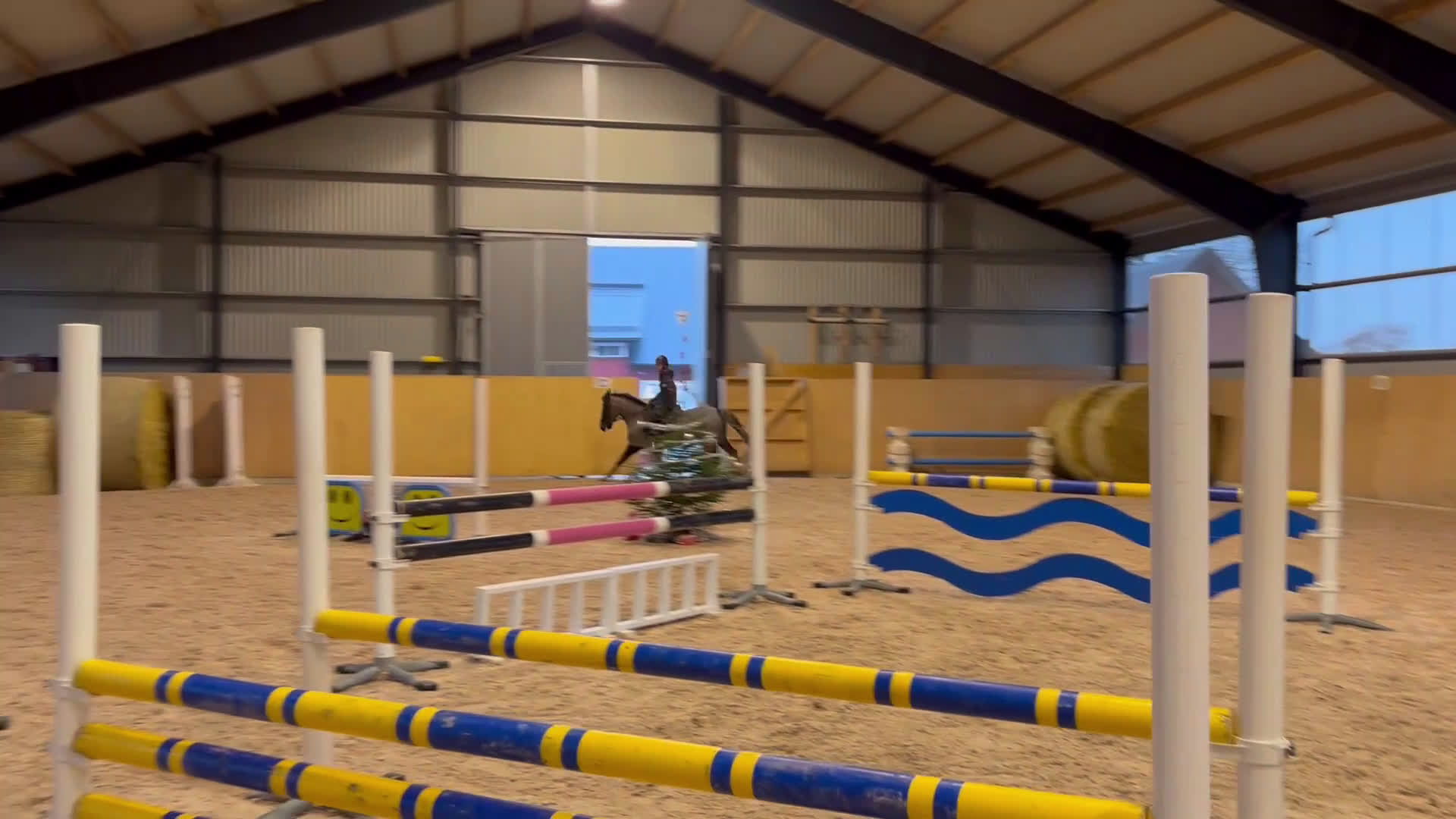 Hoppning hästar till salu: Underbar ponny & bästa vän i Habo - Video 1