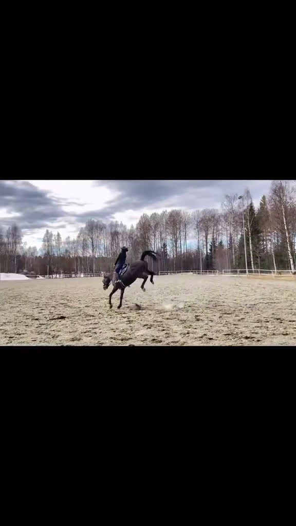 Allround hästar sökes: Hjälp med hästar  i Vännäs - Video 3