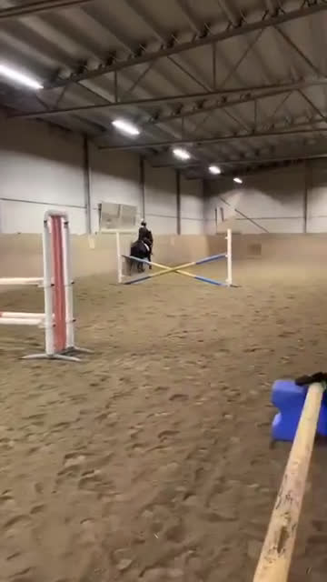 Allround hästar till salu: Intressekoll, D-ponny i Stensele - Video 1