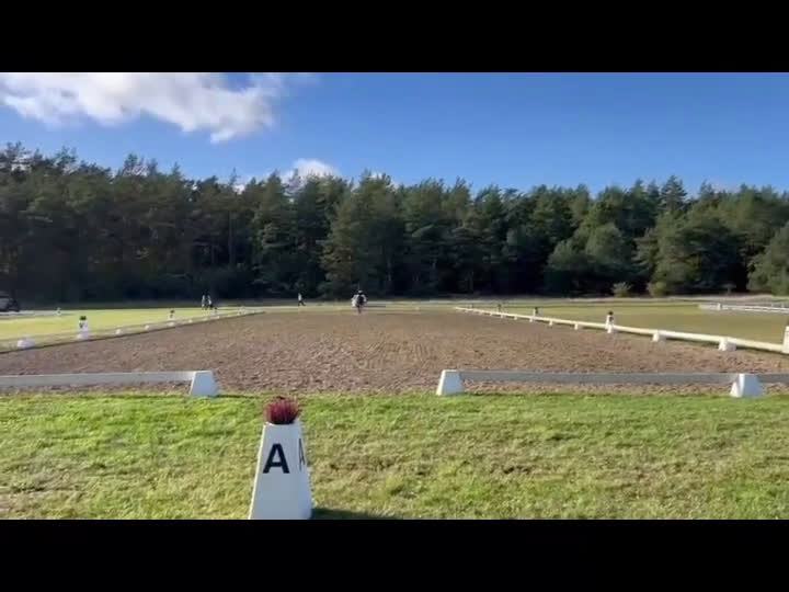 Allround hästar till salu: Trevlig dressyr, hopp, fälttävlans valack i Färlöv - Video 2