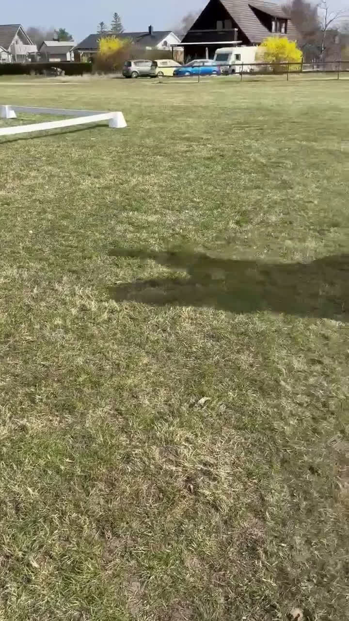 Hoppning hästar till salu: Snygg och mångsidig valack! i Röstånga - Video 3