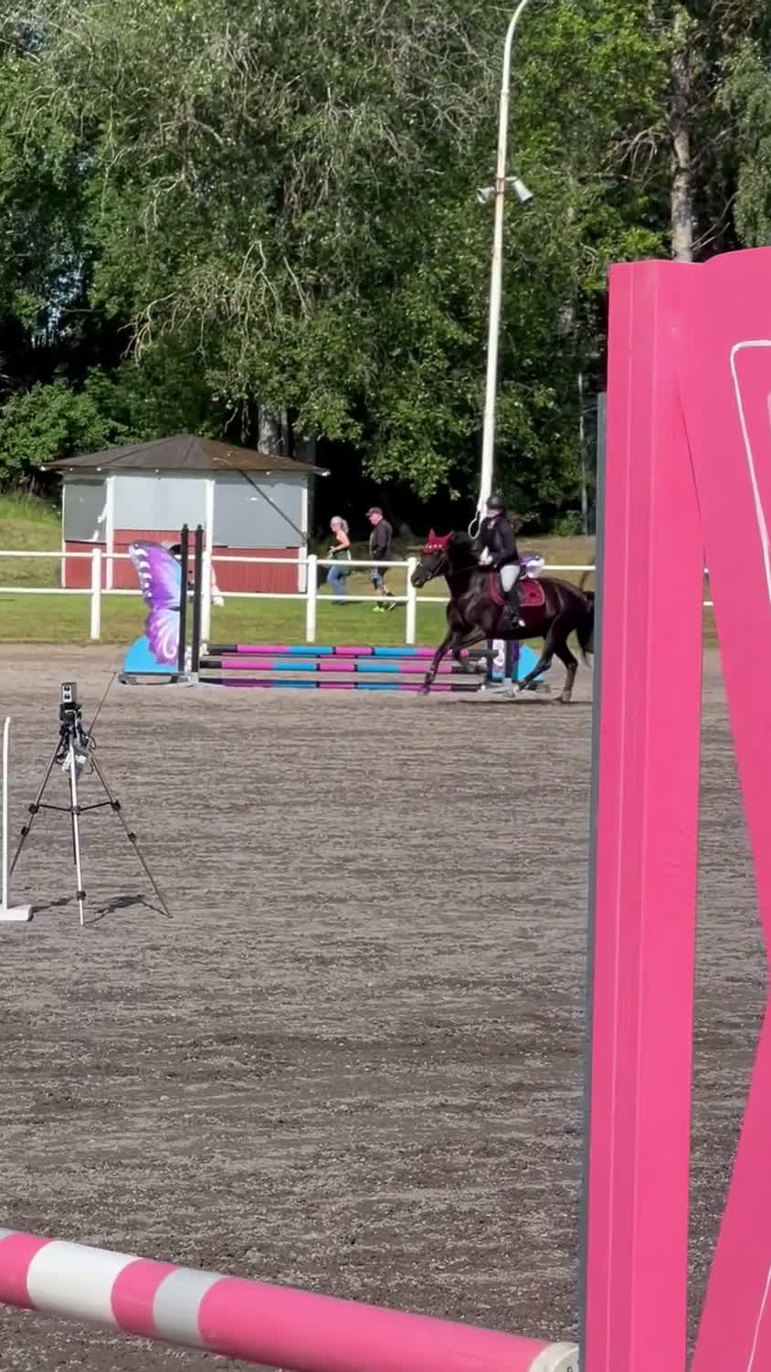 Allround hästar till salu: Världens snällaste ponny säljes💕 i Sköllersta - Video 3