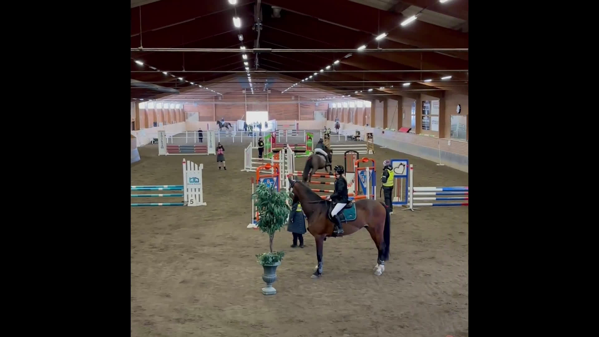 Allround hästar till salu: Riktigt fin ridhäst säljes  - Video 2