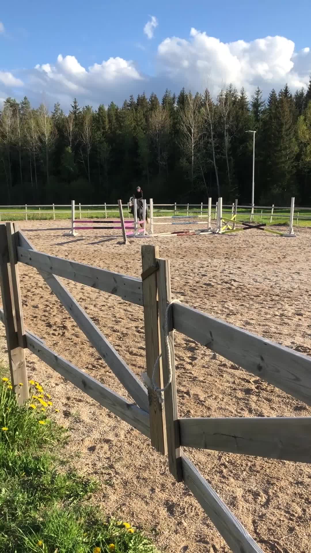 Allround hästar till salu: Tinkervalack i Linköping - Video 2