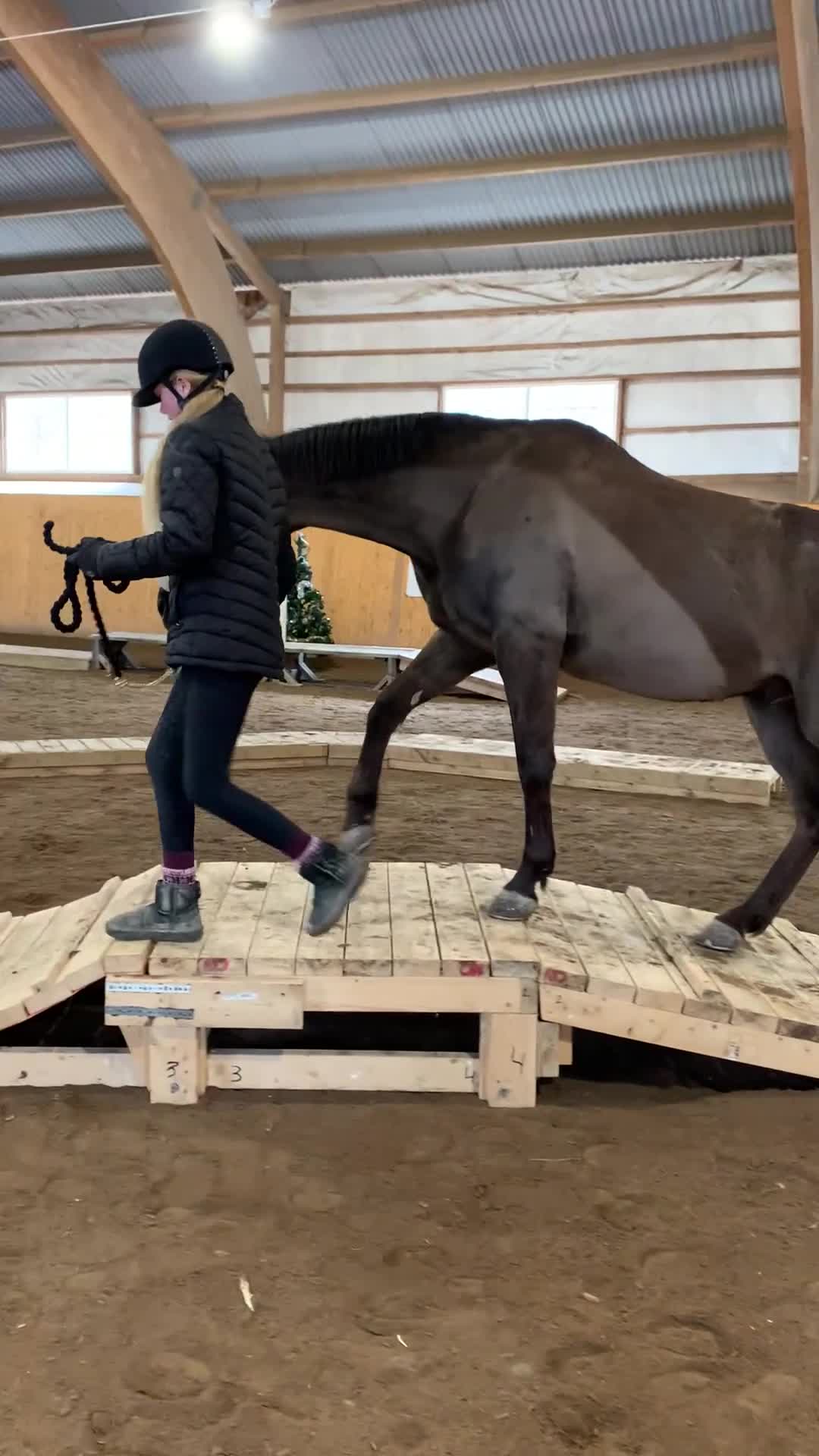 Allround hästar till salu: Fin D-ponny söker nytt hem i Götene - Video 3