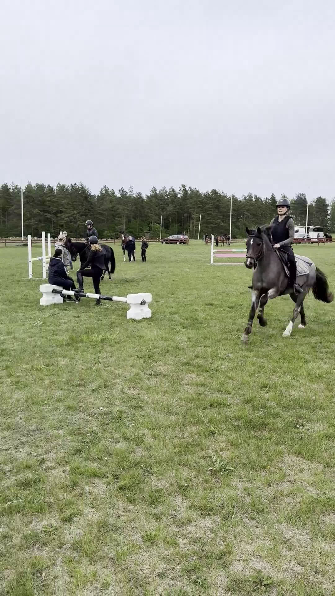 Allround hästar till salu: Superfint C-ponny sto - Video 4
