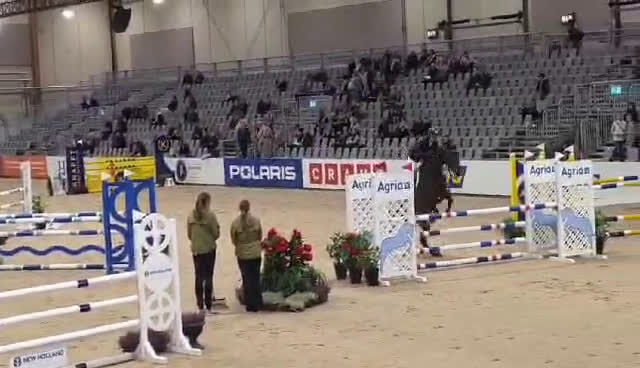 Hoppning hästar till salu: Trevlig 6 åring  i Ljungby - Video 1