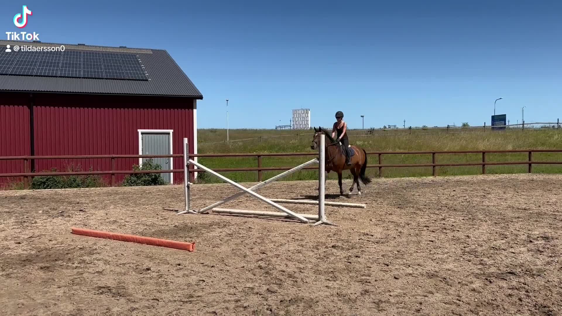 Hoppning hästar till salu: Fin 7-årig hopphäst e. Click and Cash-Cardento i Bunkeflostrand - Video 2
