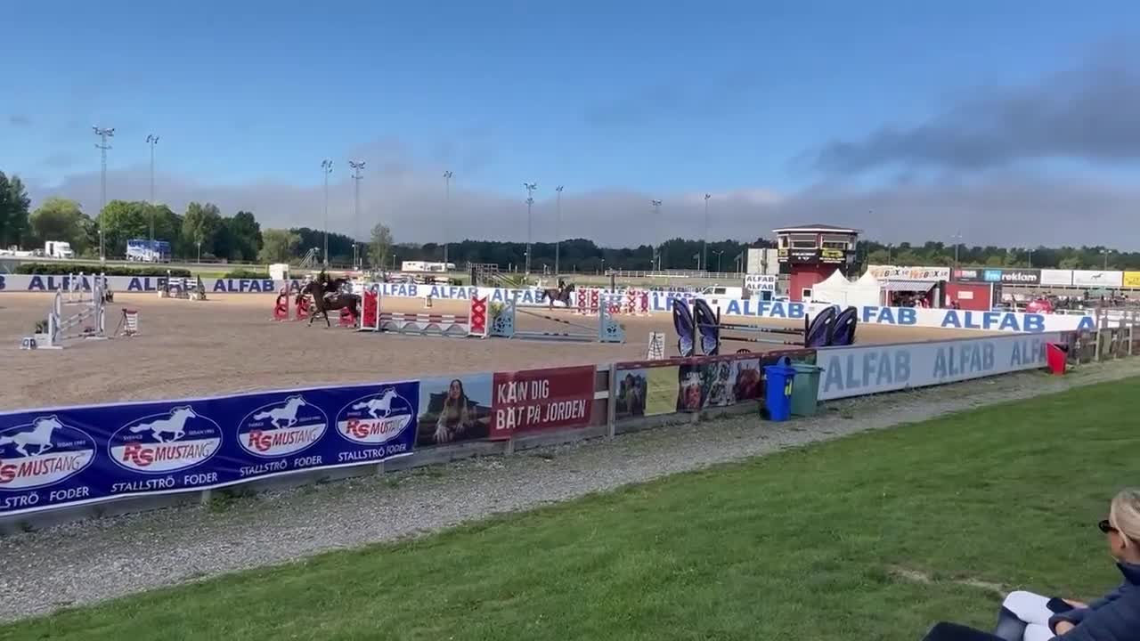 Hoppning hästar till salu: Rutinerad hopphäst med kapacitet i Sörberge - Video 2