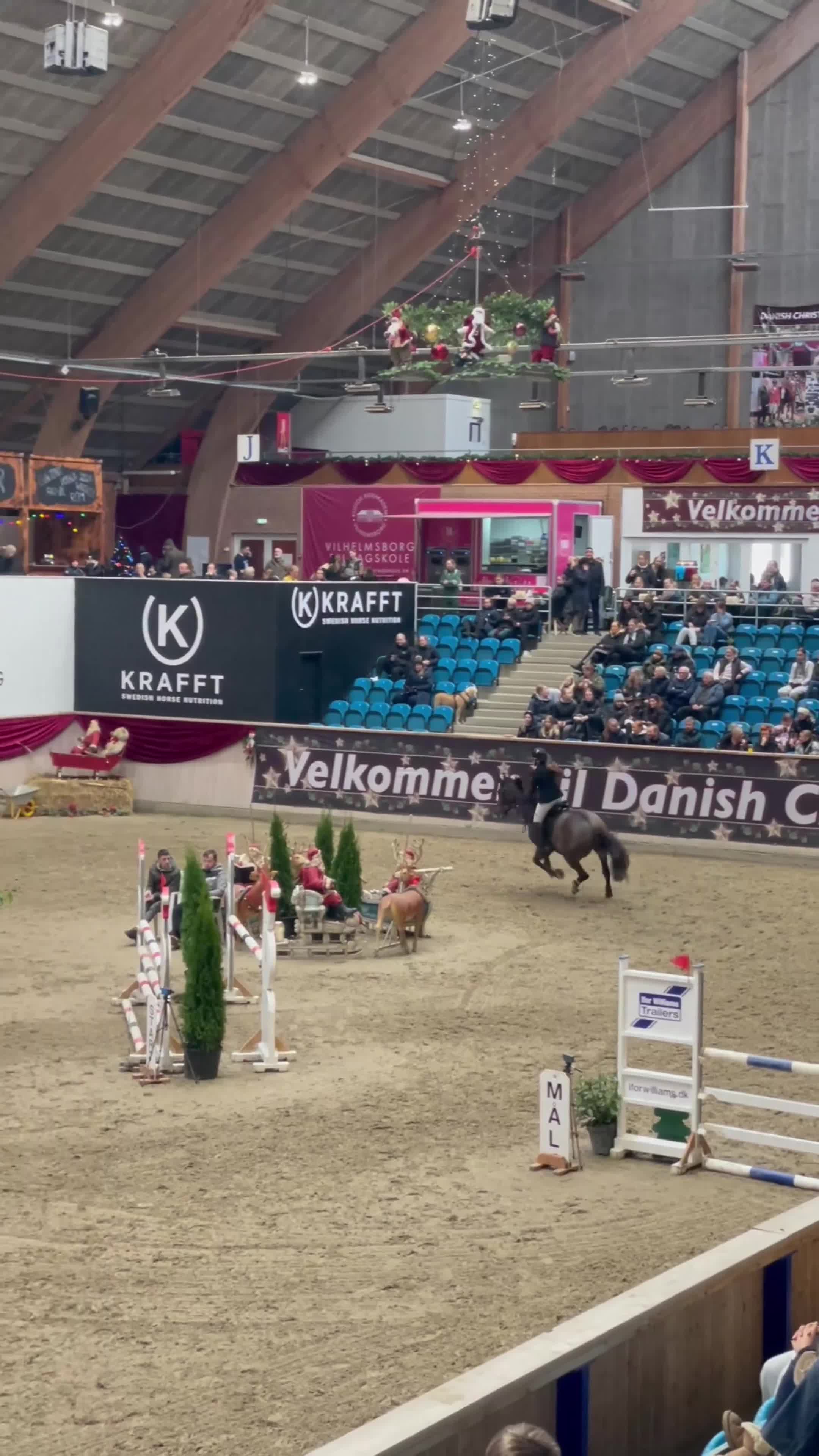 Hoppning hästar till salu: Exceptionellt sto med stor kvalitet i Hörby - Video 2