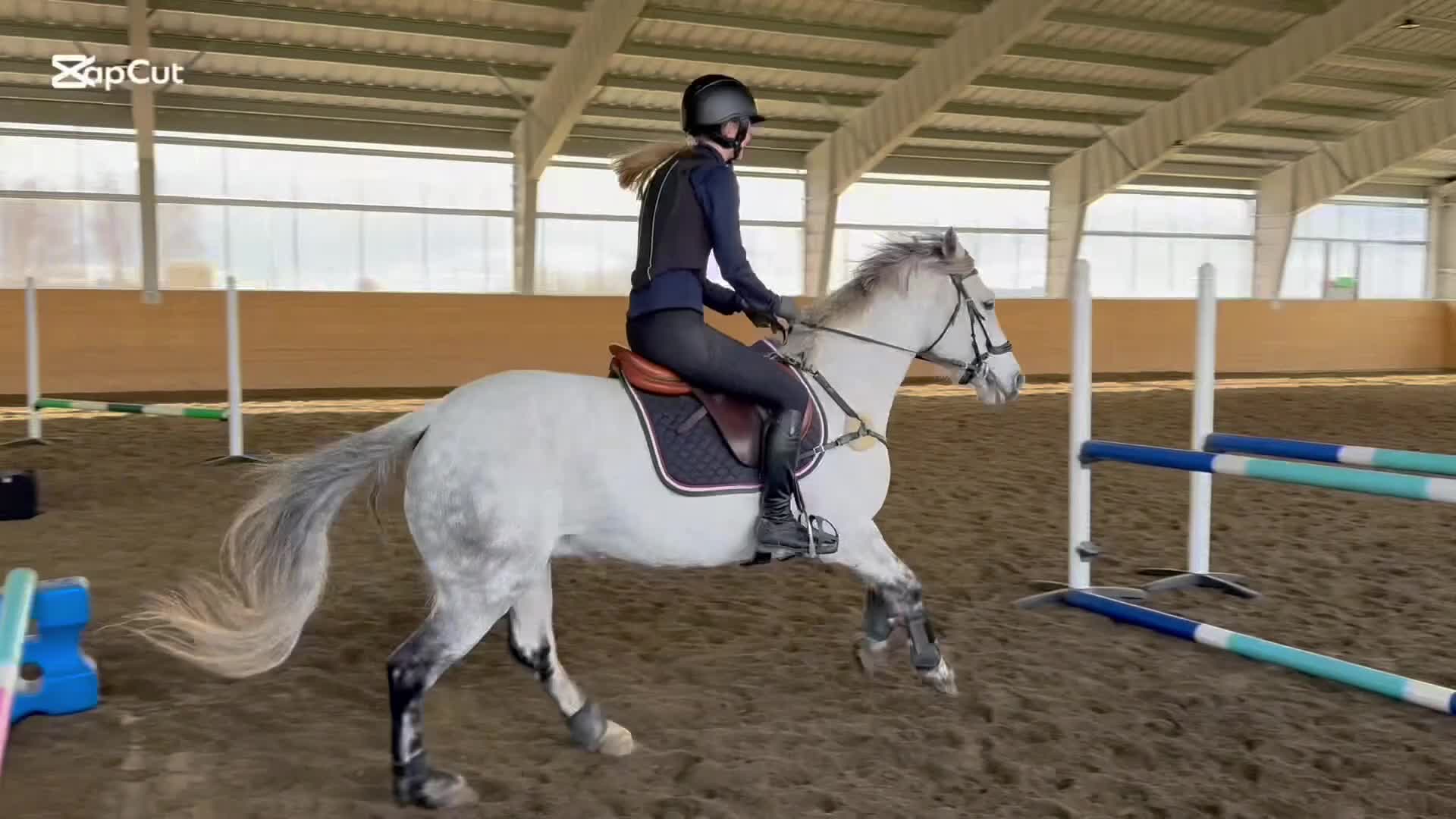 Allround hästar till salu: D-ponnyvalack säljes - Video 1