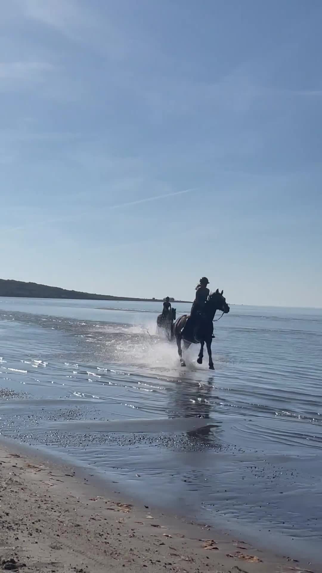 Fälttävlan hästar till salu: Kvalitetsponny för fälttävlan eller valfri gren - Video 1