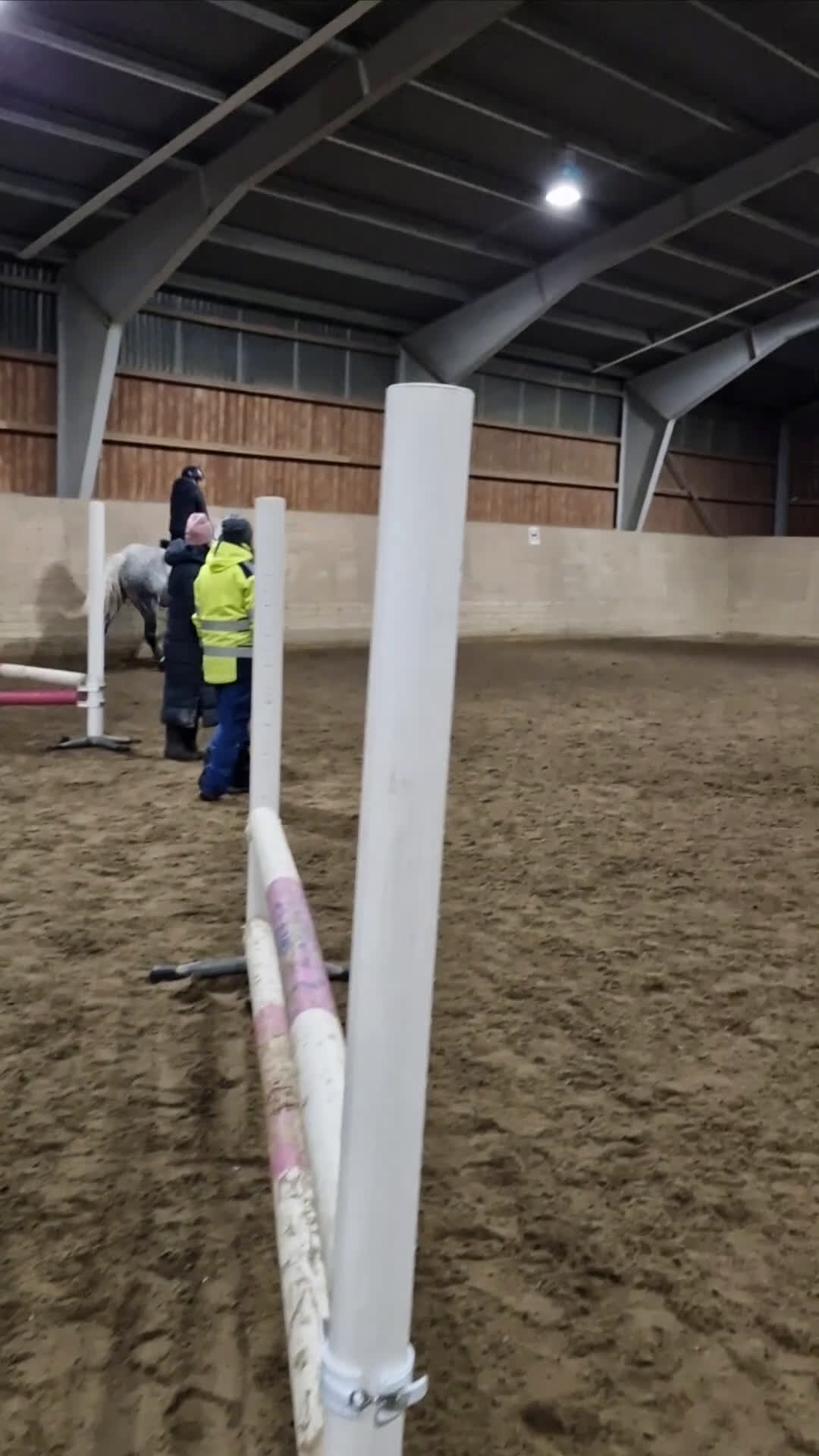 Hoppning hästar till salu: Connemara sto 4 år i Karlstad - Video 5