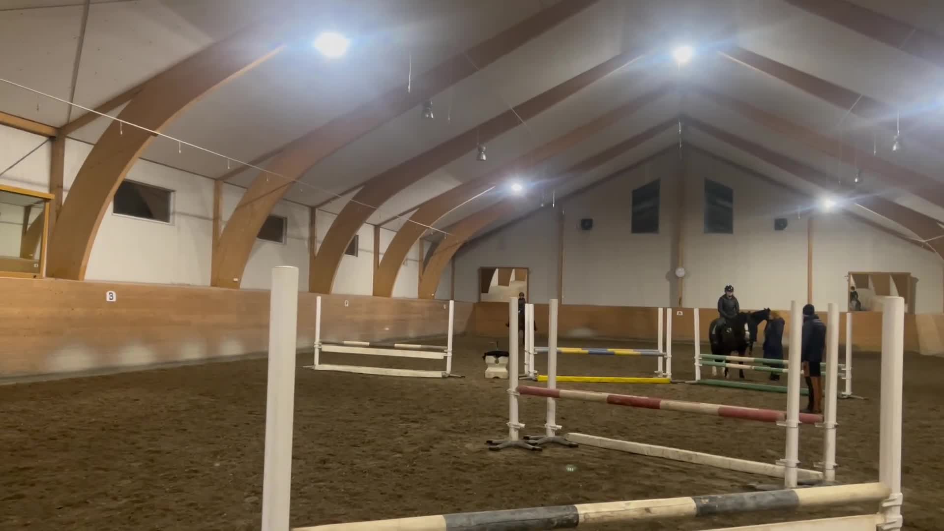 Allround hästar till salu: Sportig ponny säljes - Video 3