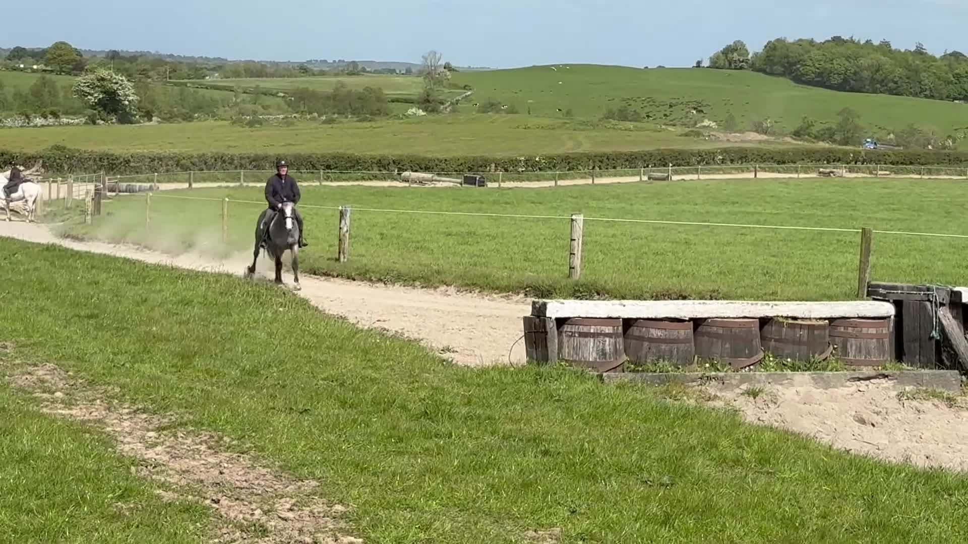 Hoppning hästar till salu: Attyrory Horses - Henry  - Video 2