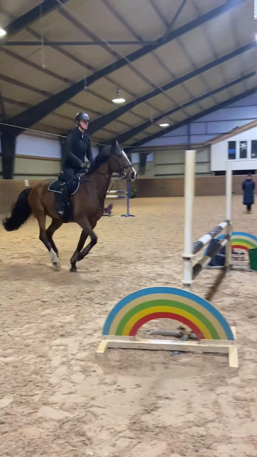 Hoppning hästar till salu: En bästavän och läromästare i Jonsered - Video 2