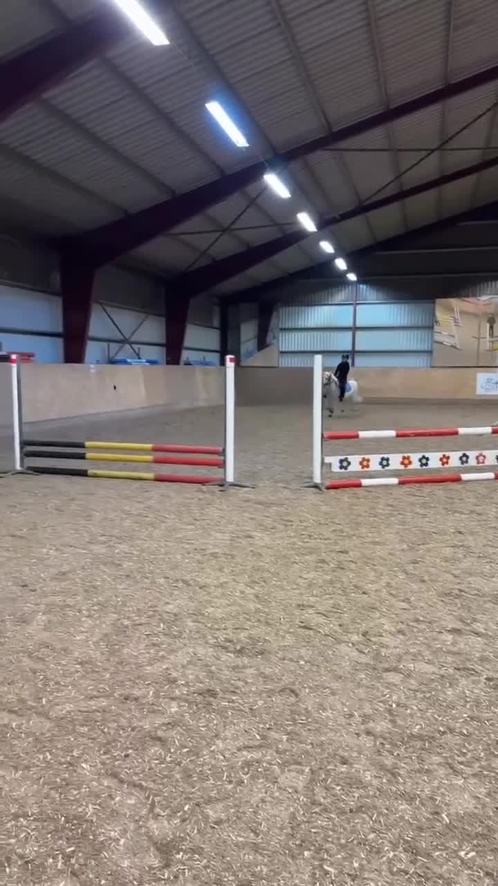 Allround hästar till salu: Vår underbar Älva letar nu nytt hem🌟 - Video 4