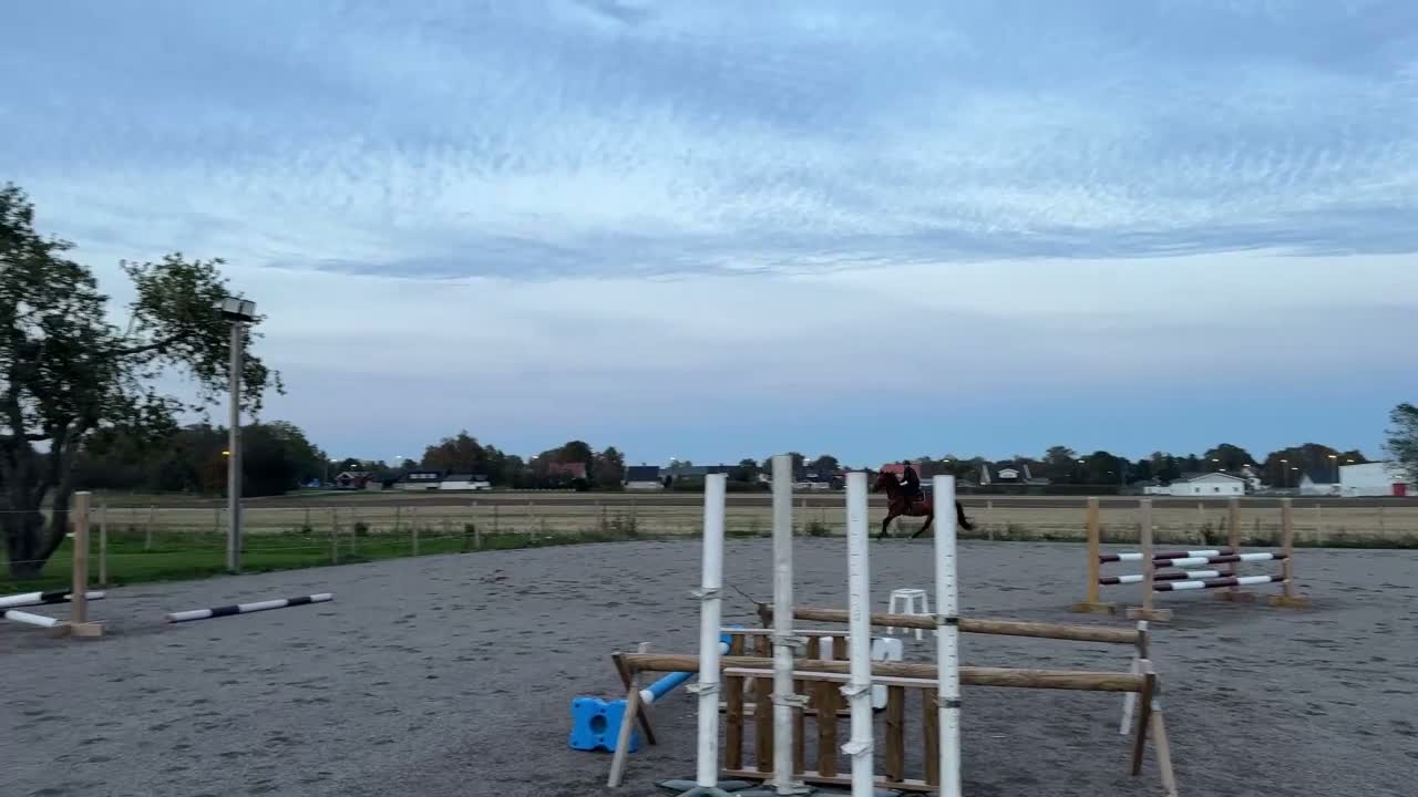 Hoppning hästar till salu: Påbörjad inhoppning framtida kvalitetshäst i Laholm - Video 1