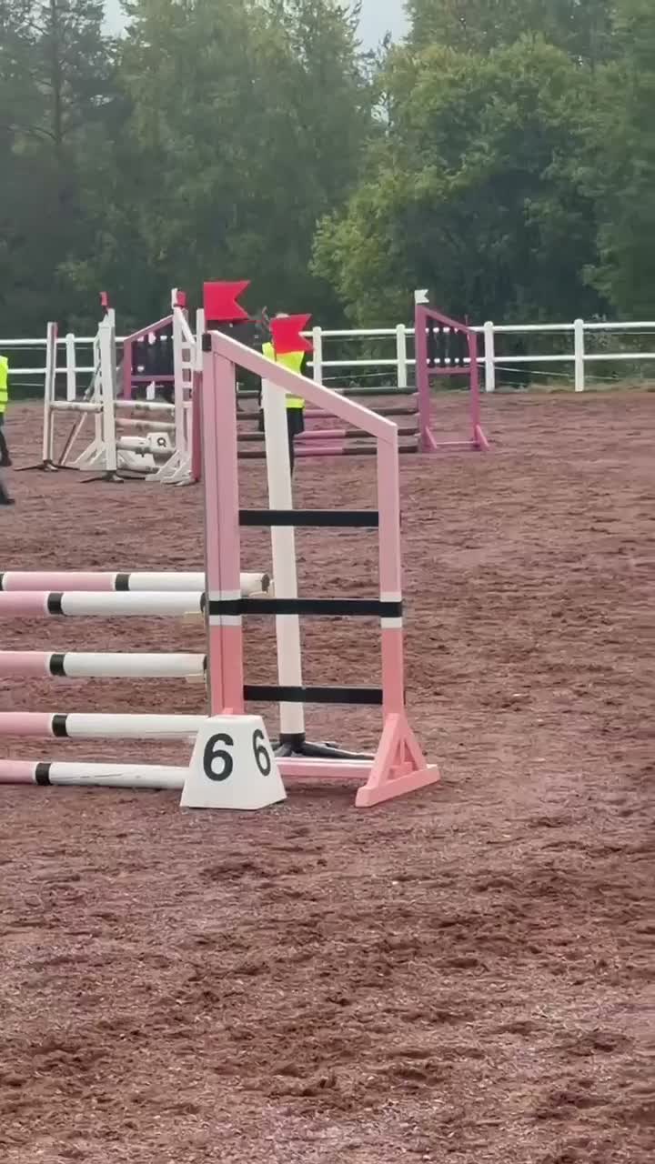 Hoppning hästar till salu: Trevlig D ungponny  - Video 1