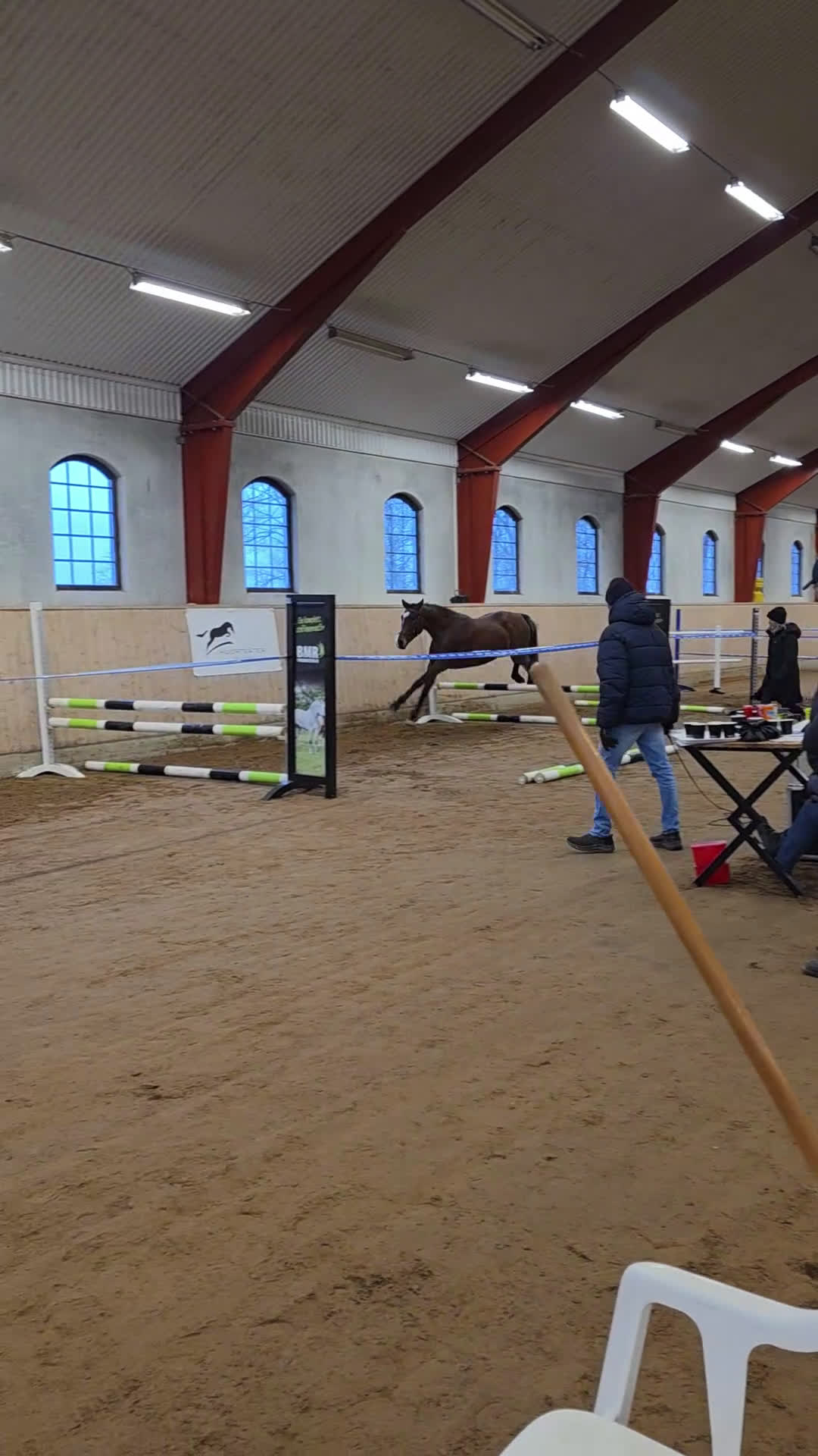 Hoppning hästar till salu: Framtida tävlingshäst ur stark stostam! i Floby - Video 1