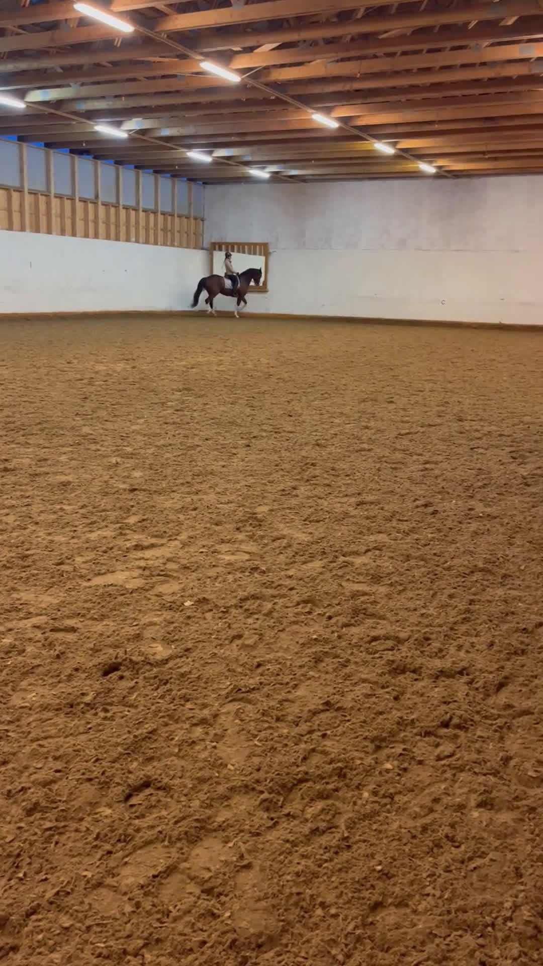 Dressyr hästar till salu: Genom snäll valack med utstålning i Flisby - Video 3