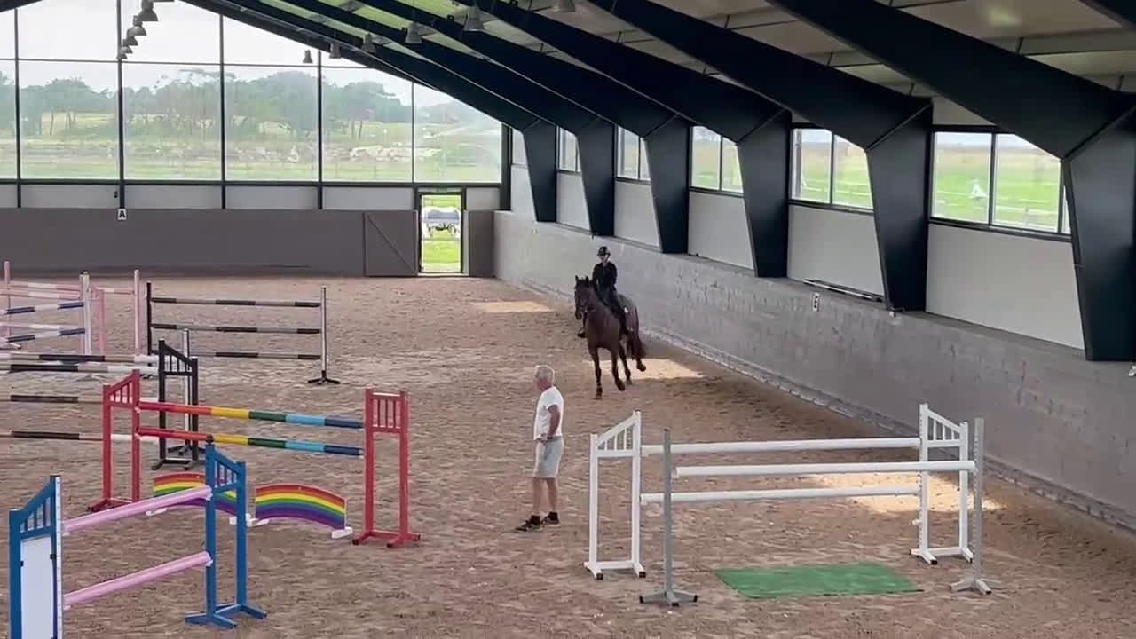 Hoppning hästar till salu: Topphäst Children/Junior Prissänkt! i Västra Frölunda - Video 3